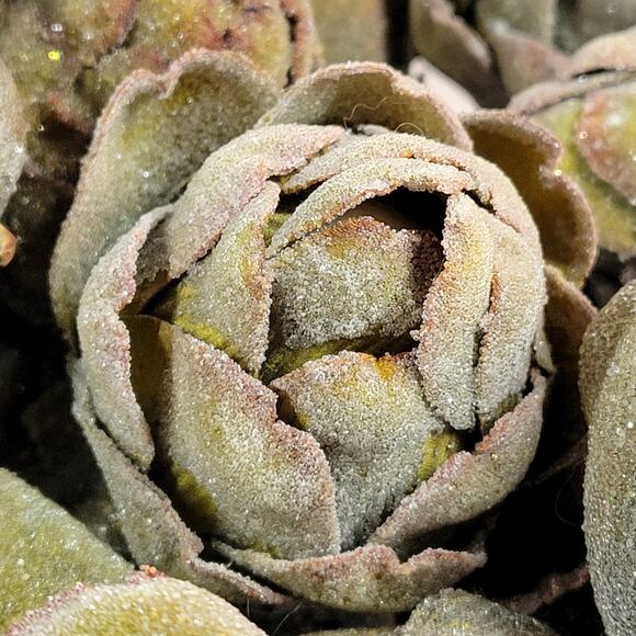 Vintage‎ Faux Artichokes Green Crystallized Farmhouse Kitchen Decor 21 pcs - Picture 10 of 11